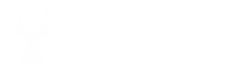 Digital Deer Inc. | Web Design & Digital Marketing Agency